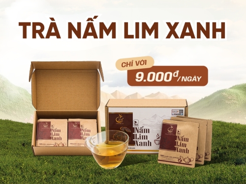 Top các loại trà nấm Lim Xanh ngon - Giá mềm, bổ dưỡng